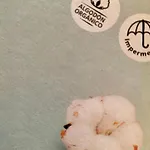 Mas La Llum, La Casa De Palla Kır Evi Arens de Lledo