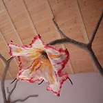 Mas La Llum, La Casa De Palla