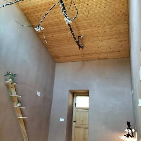בית כפרי Mas La Llum, La Casa De Palla