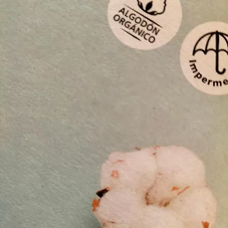 Mas La Llum, La Casa De Palla 컨트리하우스 Arens de Lledo