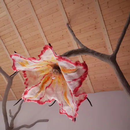 Mas La Llum, La Casa De Palla