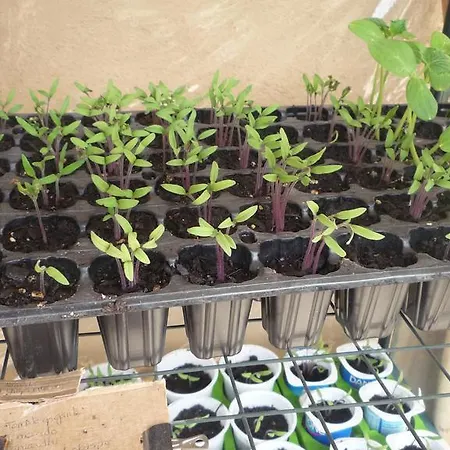 Εξοχικό σπίτι Mas La Llum, La Casa De Palla Arens de Lledo