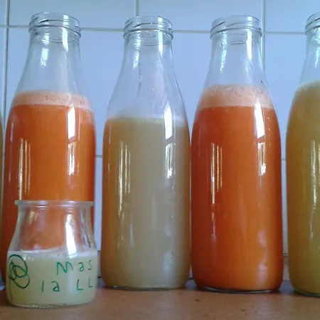 Mas La Llum, La Casa De Palla * Arens de Lledo