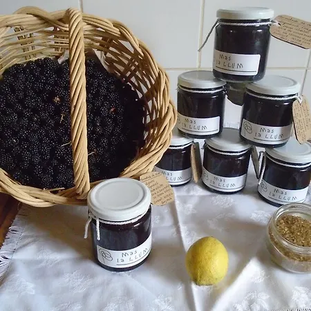 Εξοχικό σπίτι Mas La Llum, La Casa De Palla Arens de Lledo