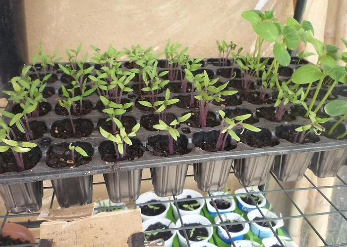 Εξοχικό σπίτι Mas La Llum, La Casa De Palla Arens de Lledo