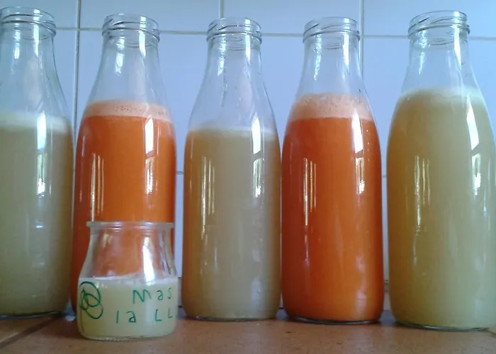 Mas La Llum, La Casa De Palla * Arens de Lledo